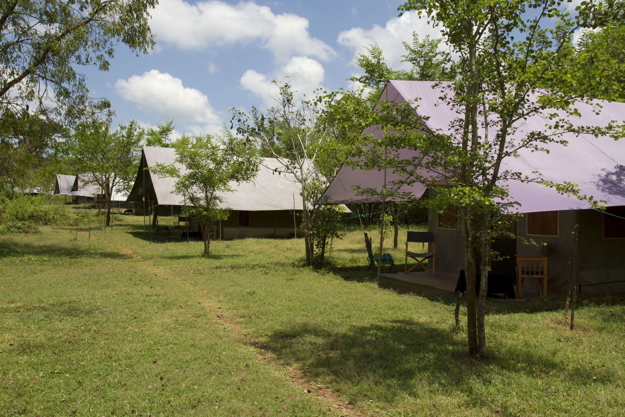 Big Game Udawalawe - By Eco Team Hotel Exterior foto
